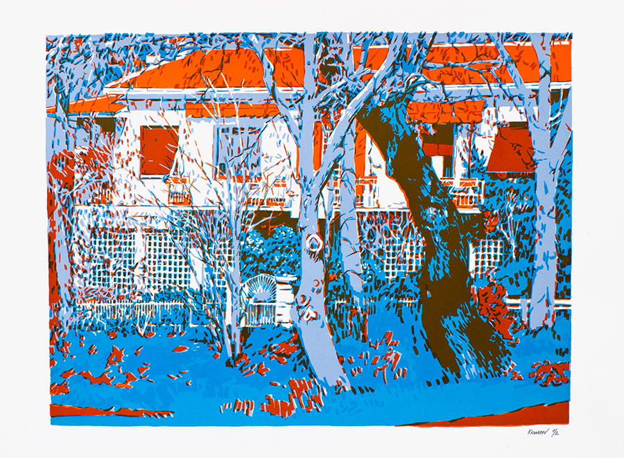 Handmade screen print no.1359