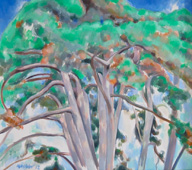 Original oil landscape paintings no.1130