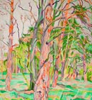 Original oil landscape paintings no.607