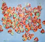 Original oil still life painting no.645