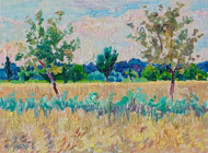 Original oil landscape paintings no.794