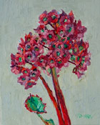 Original oil flower painting no.850